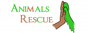 Animals Rescue