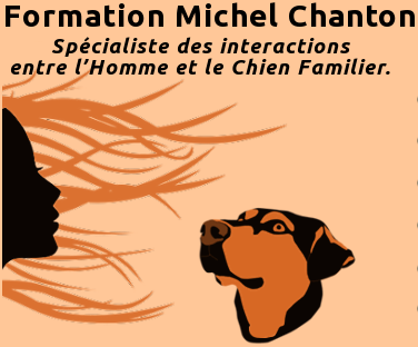 Définition du Comportementaliste - Michel Chanton